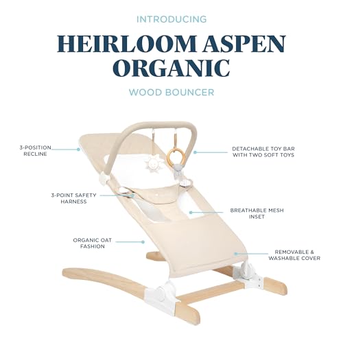 Image of Baby Delight Heirloom Aspen Wooden Baby Bouncer, Organic Oat | Infant 0-6 Months, 3-Position Recline, 3-Point Safety Harness, 100% GOTS Certified Cotton Fabric, Removable & Washable Cover