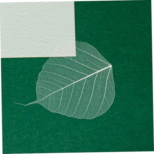 Hojas Naturales Esqueleto 20pcs para Manualidades y Marcapáginas miniatura 5