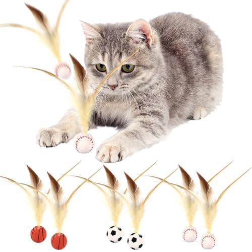 AUNGCSHE 6 PCS Katzenspielzeug Bälle mit Federn