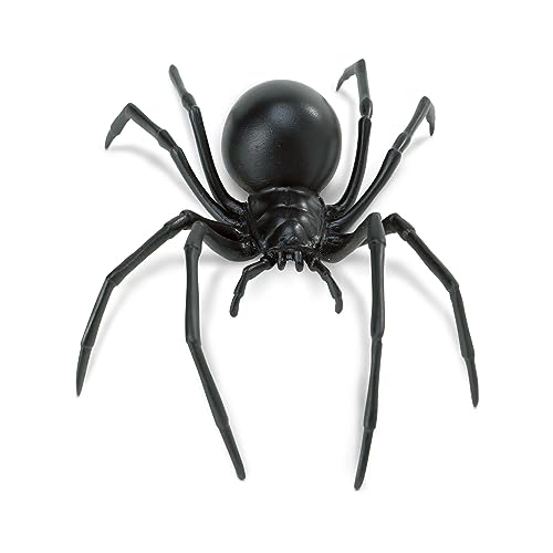 Safari Ltd. Black Widow Spider Figurine - Realistic 6.5 Arachnid Figure - Educational Toy for Boys Girls and Kids Ages 3+