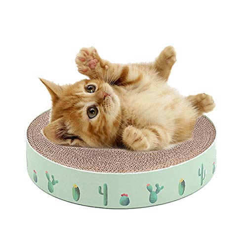 O arranhador de gato em forma de bola é redondo, fácil de limpar, forte e durável, adequado para gat