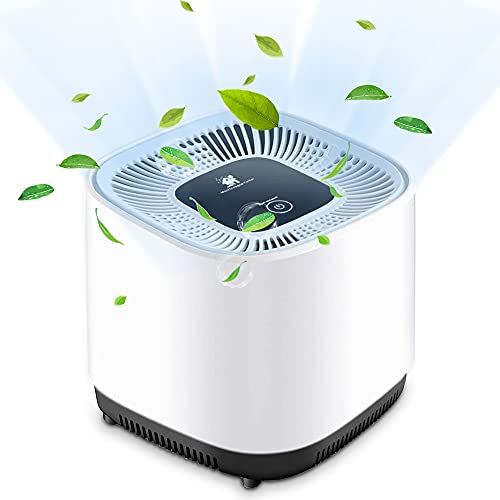 byhui Purificador de Aire con Filtro H11 HEPA, Filtración de 3 Etapas, Ultra Silenciosos Filtro de Carbón Activo, Elimina 99.97% Polvo,Humo,Olor, caspa de Mascotas