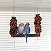 Parrot Swing Toys, Chewing, Climbing Natural Pine Cone Wooden Swing, Bird Parrot Toys for Budgies, Lovebirds, Finch, Parakeets, Budgerigars, Conure, Cockatiel