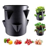 Fraisier Hauteur, Pot Fraisier De 7 Gallons, Sac De Plantation Pour Fraises À 6 Trous, Bacs Culture En Tissu Non Tissé Pour Fruits Légumes, Portable Convient À Une Utilisation Intérieure Et Extérieure