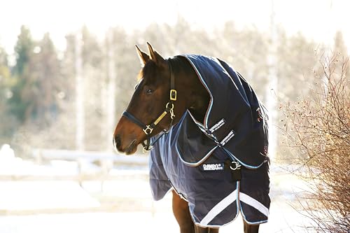 Rambo Duo Capuche 100 g S au paddock par temps frais et humide