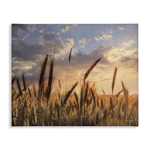 Stupell Industries 'Countryside Wheat Field Farmland Cloudy'| Canvas Art