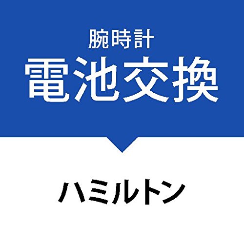 �d�r�����T�[�r�X�r���v�m�n�~���g���nHamilton