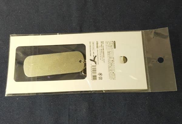 Amazon.co.jp: 東京メトロ 日比谷線 03系 客室内板 キーホルダー 実際