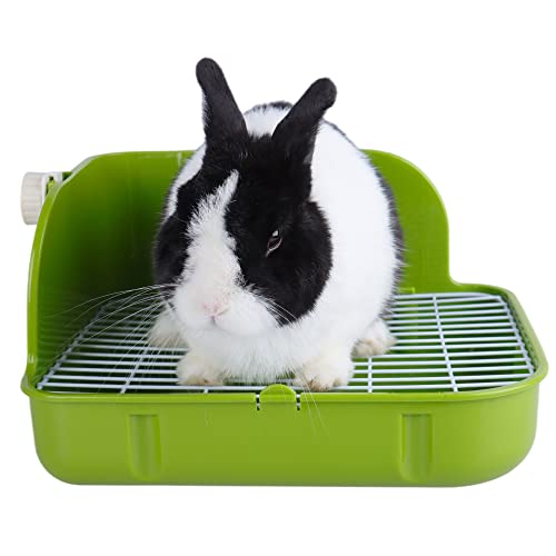 25 Best Hedgehog Litter Boxes and Pans of 2020 (Reviews & FAQs)