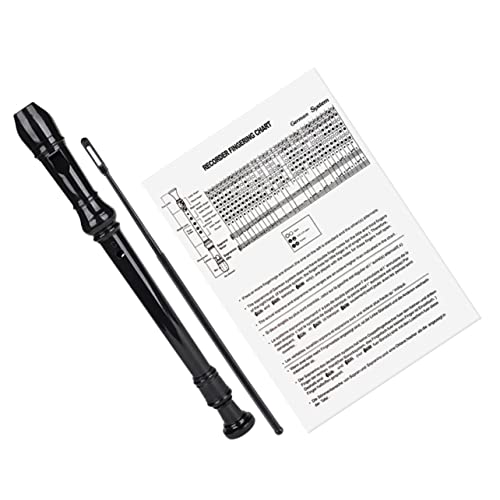 BESTonZON 8loch Kunststoffflöte mit Löchern Reinigungsstab Inklusive Bedienungsanleitung Musikinstrument für Anfänger Geeignet für Klassenzimmer Bühne und Orchester