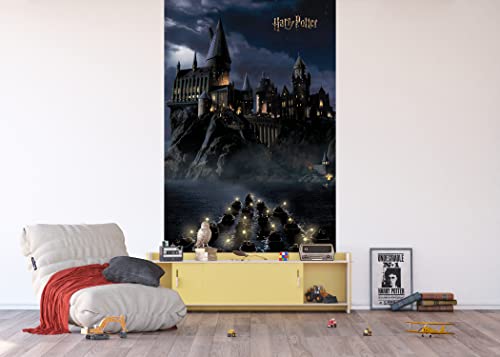 AG Design Harry Potter Vlies Fototapete 150 x 270 cm | 2 Teile | AFTD2P 5622-412 AG Design Harry Potter Vlies Fototapete 150 x 270 cm | 2 Teile | AFTD2P 5622-412
