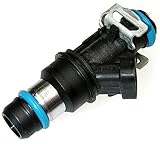 Delphi FJ10063 Fuel Injector