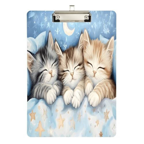 Porte-bloc chatons pour bureau et classe - Acrylique résistant 0,6 cm