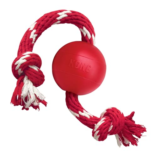 KONG Ball mit Seil - Hundespielzeug mit Seil für einfaches Werfen - Aus strapazierfähigem Naturkautschuk - Für Kleine Hunde - Rot