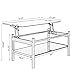 Meihua Lift Top Glass Coffee Table with Storage Compartment and Separated Open Shelves, Lift Tabletop for Living Room Home, Office, Black