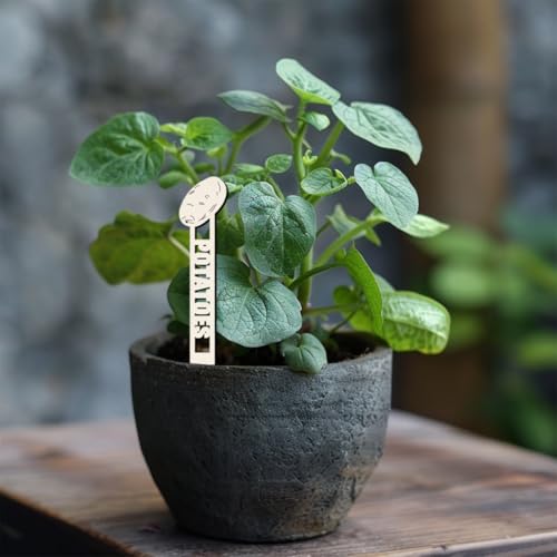 arricraft 15 marcadores de plantas de ervas de jardim, 15 estilos de placas vazadas de madeira para