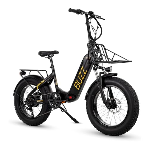 Buzz Centris 20” Fat Tire Folding eBike, Off Road ebike,