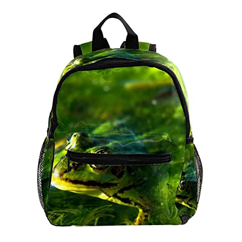 Sac à dos grenouille pour enfants - Cartable mixte de 30,5 cm pour l'école et les sorties