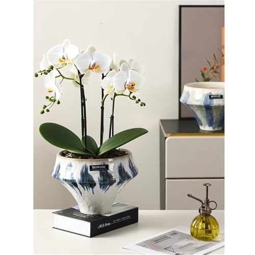Pot de fleur en céramique avec drainage pour lys et cactus - 5