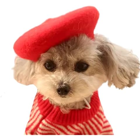 MuYaoPet Soft Wool Dog Beret Hat Cover