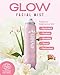 BRUMISATEUR Evian Glow Facial Mist | Hydrating Mineral Water Face Spray with Aloe & White Tea | Dewy Setting Mist & Toner for Glowing Skin | Facial Spray to Refresh, Balance, & Enhance Makeup