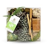 Gonesh - Potpourri - Home Decor - Natural Botanicals & Fresh Fragrances -Bamboo Scent - 12 oz. Acetate Gift Box