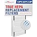 HEPA Air Purifier Filter fits Idylis B Air Purifiers IAP-10-125, IAP-10-150, Model # IAF-H-100B, IAFH100B