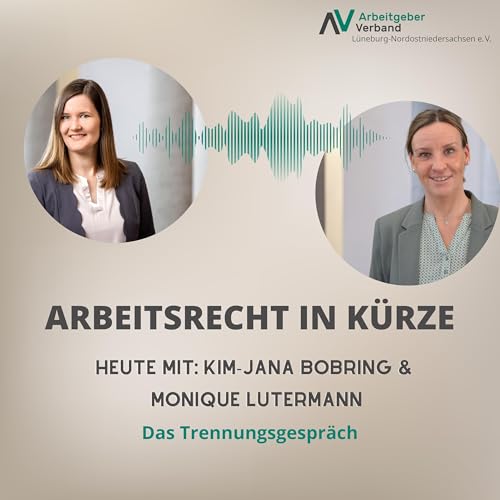 Folge 17, Das Trennungsgespr&auml;ch cover art