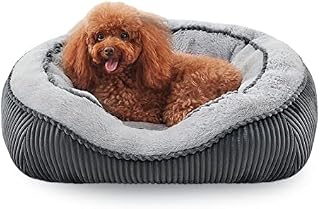 MIXJOY Medium Dog Bed Washable(64x53cm), Super Soft Cosy Dog Beds Grey Pet Bed, Premium Grey Rectangle Puppy Bed for Small Medium Large Dogs, Ideal for Labrador, Chihuahua, Springer Spaniel, etc