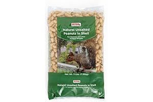 Nutritional Provisions for Avian and Squirrel Fauna: Petco Unprocessed Peanut Delicacies