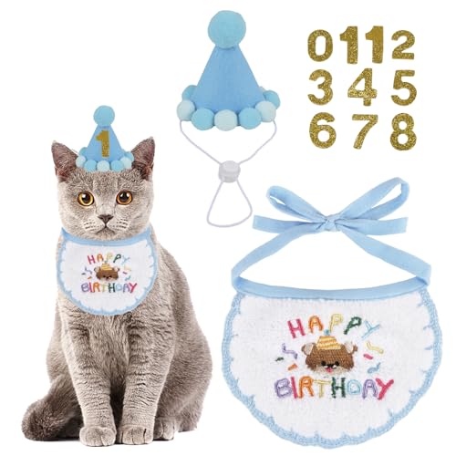 PTDECOR Suministros para fiesta de cumpleaños de gato, sombrero de cumpleaños con números, bandana de cumpleaños para mascotas, decoraciones de cumpleaños para gatos, gatitos, trajes de cumpleaños