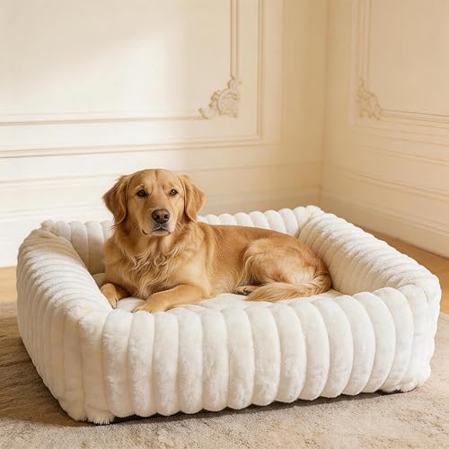 CareCooo M Panier Chien Rectangulaire Texture Ondulée Crème – Lit pour Chien Moelleux Pelucheux Rempli de Coton, Bords Surélevés, Housse Déhoussable...
