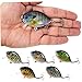 Tuimiyisou Sea Fishing Lures 5PCS Fishing Lures 6cm 15g Mini Wobbler Fishing Lure Artificial Hard Bait Crankbait with Tackle Box for Bass Fishing Tackle,Metal Sequins Spinner Fishing Lures