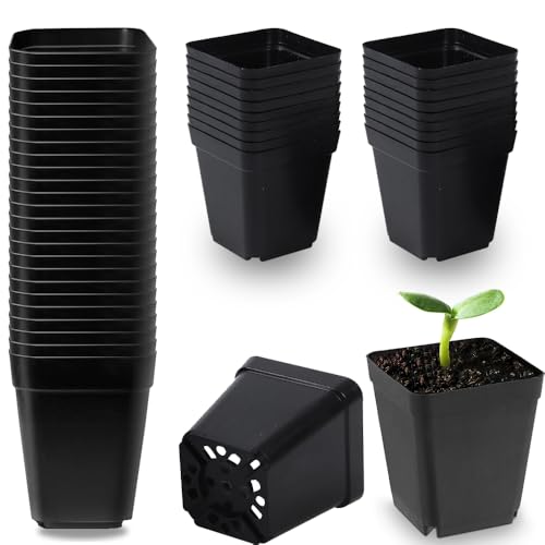 MBLUE Set 5 Vasi Quadrati In Plastica Per Bonsai E Piante Grasse | Con Vassoio E Fori Di Drenaggio | Vaso Porta Piante Da Balcone