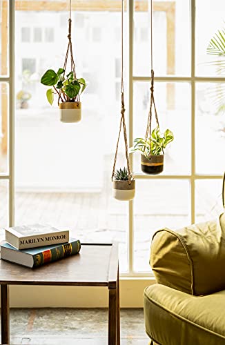 Dahey 3 Pack Small Cement Hanging Planter Succulent Pots With Jute Rope Hanger Modern Mini Concrete Flower Pots Indoor For Cactus Herb Or Small Plants Home Decor, 4 Inch #TOP1
