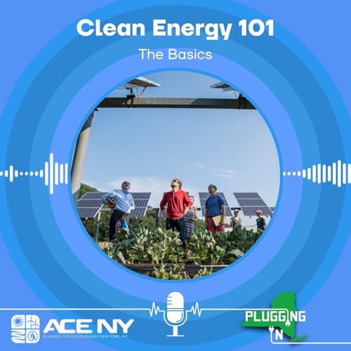 Clean Energy 101: The Basics with Marguerite Wells
