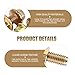 Shakas 10 PCS Exhaust Fitting Bolts, M8 x 1.25 High Strength Carbon Steel Flange Face Screw Nuts Hexagonal Bolt Screws, Standard Replacement Parts for Most Cars (Gold)