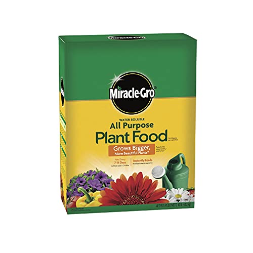 Miracle-Gro Water Soluble All Purpose Plant Food - Fertilizer For All Indoor or Outdoor Plants including Roses, Flowers, Vegetables, Houseplants, Trees, and Shrubs, 10 lbs. 10 lb. 1 Pack
