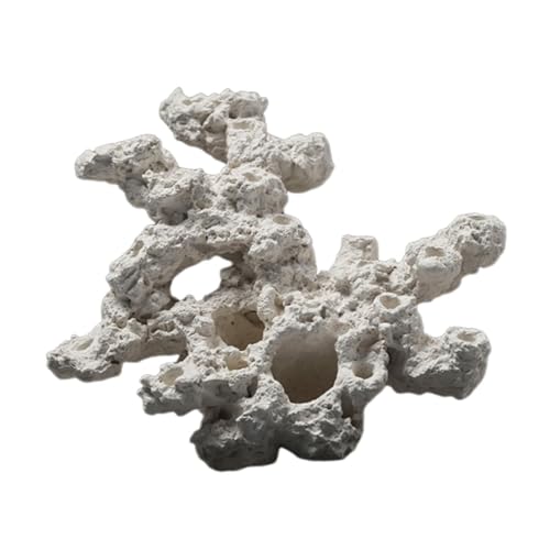 MYCENSE C\M`NAANAXP[vA@\AH|AnIAɐBB, Style D