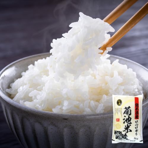 [3ヶ月定期便]熊本県産 菊池米 白米 5kg 定期 5kg × 1袋 米 お米 九州産 [お申込み翌月から出荷]