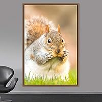 Framed Canvas Wall Art Squirrel Animals Fun Living Room Multicolor Photography Rustic Squirrel - 16x24 inches