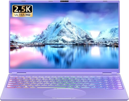 16�C���` �m�[�g�p�\�R���yWin 11����/MS Office 2019���ځz�p�\�R���m�[�g/�C���e��Celeron N95����CPU 1.7GHz�`3.4GHz/2.5K�t��IPS �𑜓x(2560*1600)/������DDR4 16GB/��F��/�L�x��