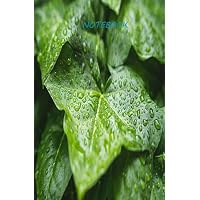 Notebook 5.25x8