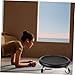Hemoton 1 Set Abdominal Trainer Roller Disc Sliding Plates for Workout Fitness Sliding Discs for Abdominal Exercise Random Color
