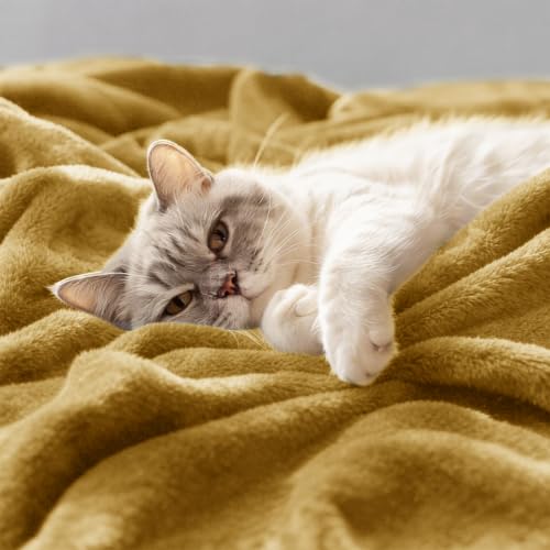 CozyLux Kuscheldecke Flauschig Decke 230x270 cm Gelb – Ansicht 5