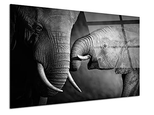 DECLINA Tableau verre acrylique déco photo L'éléphant et sa mére, Tableau moderne plexi, tableau mural, impression sur verre acrylique, cadre Plexis, 50x30 cm