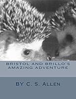 Bristol and Brillo's Amazing Adventure 1502760606 Book Cover
