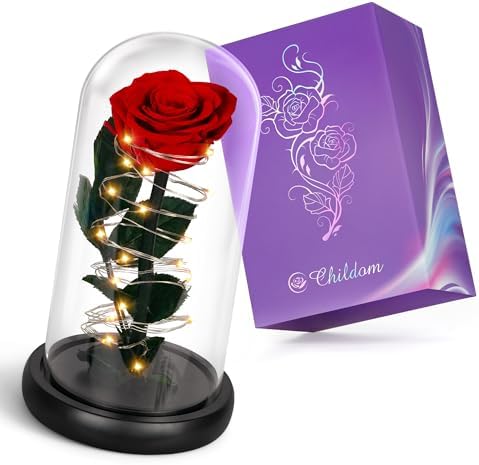 Amazon.com: Childom Valentines Day Rose Gifts for Her,Birthday Gifts ...