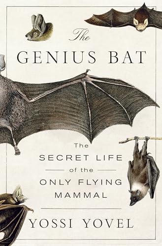 Image of The Genius Bat: The Secret Life of the Only Flying Mammal