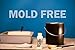 Paint-Guard Mold and Mildew Defense Paint Additive (1 Gallon Treatment)